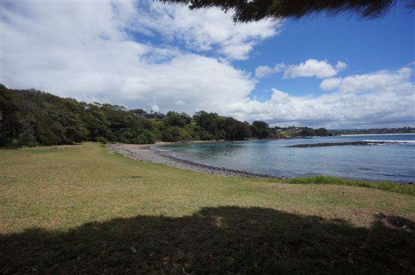 Cameron Boyd Reserve (2/02/2018 - Credits: Mary Barltrop)