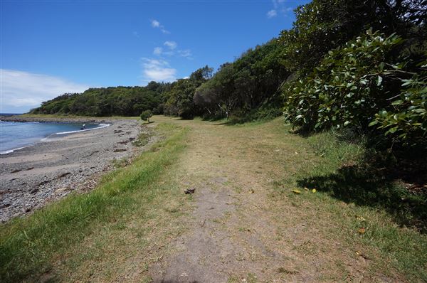 Cameron Boyd Reserve (2/02/2018 - Credits: Mary Barltrop)