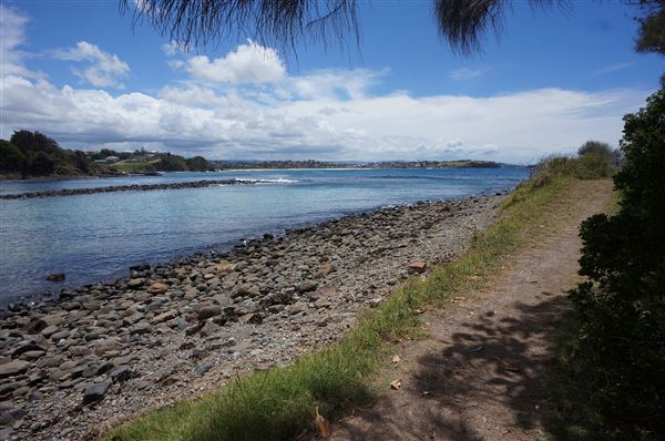 Cameron Boyd Reserve (2/02/2018 - Credits: Mary Barltrop)