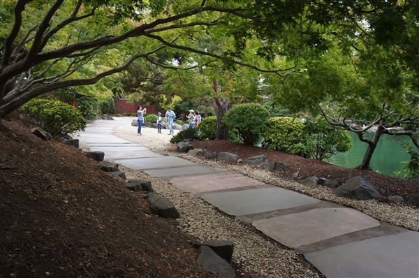 Auburn Botanic Gardens - Japanese Garden (4/02/2018 - Credits: Mary Barltrop)