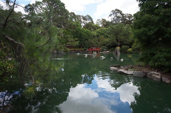 Auburn Botanic Gardens - Japanese Garden (4/02/2018 - Credits: Mary Barltrop)
