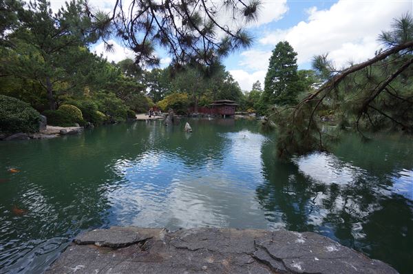 Auburn Botanic Gardens - Japanese Garden (4/02/2018 - Credits: Mary Barltrop)