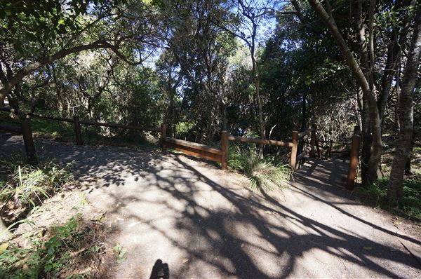 Bass Point Reserve (2/02/2018 - Credits: Mary Barltrop)