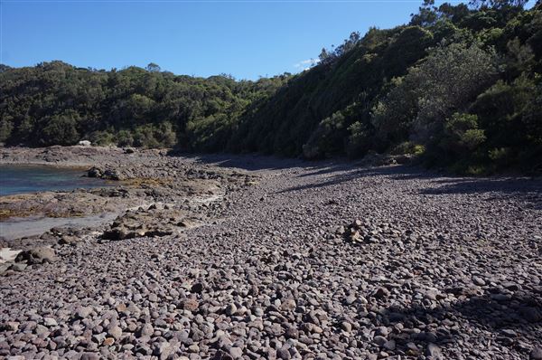 Bass Point Reserve (2/02/2018 - Credits: Mary Barltrop)
