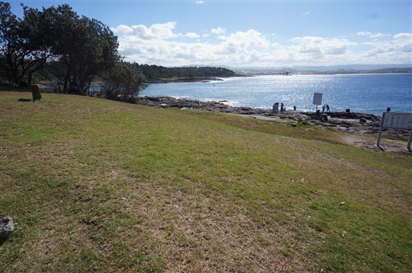 Bass Point Reserve (2/02/2018 - Credits: Mary Barltrop)