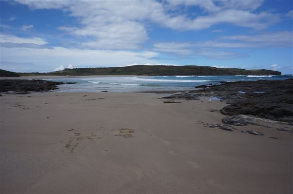 Killalea Regional Park (2/02/2018 - Credits: Mary Barltrop)