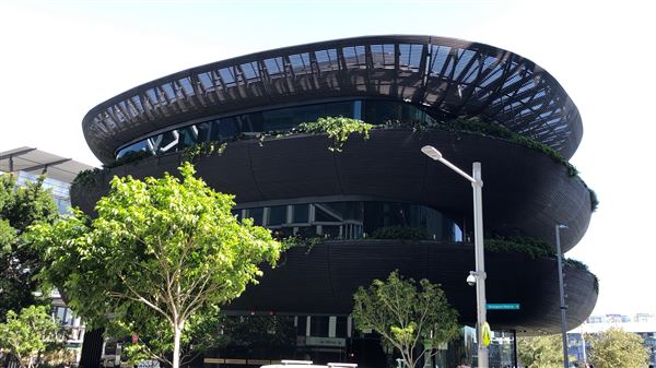 Barangaroo (10/05/2018 - Credits: Shannon Wheeler)