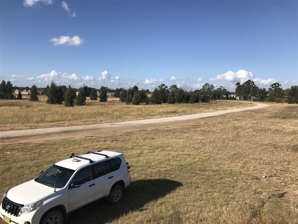 Penrith Lakes - Area 1 (8/06/2018 - Credits: Phillip Roope)