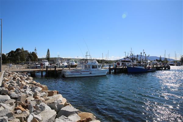 Bermagui (4/08/2018 - Credits: Lisa Scope)