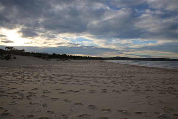 Pambula & Pambula Beach 2018 (5/08/2018 - Credits: Lisa Scope)