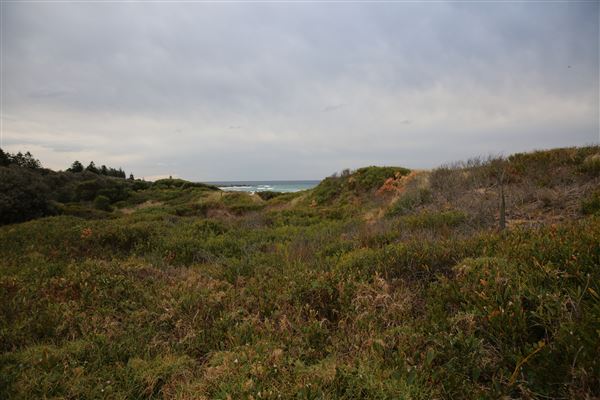 Tuross Head (5/08/2018 - Credits: Lisa Scope)