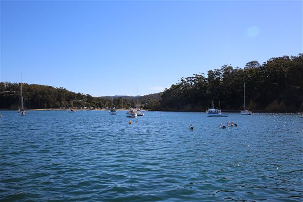 Quarantine Bay Boat Ramp & Beach Cottages (4/08/2018 - Credits: Lisa Scope)