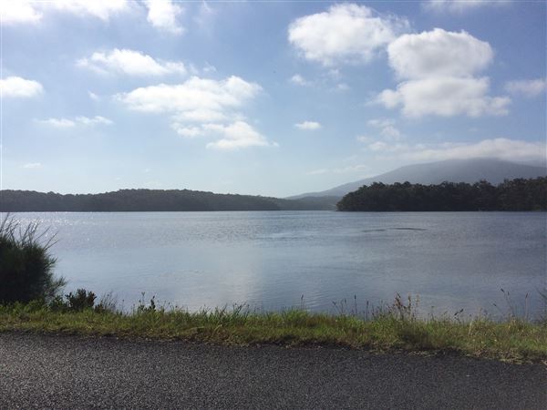 Wallaga Lake Bridge (20/11/2015 - Credits: Shannon Wheeler)