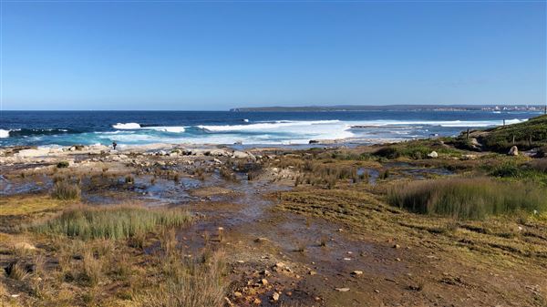 Kamay Botany Bay National Park (23/05/2018 - Credits: Shannon Wheeler)