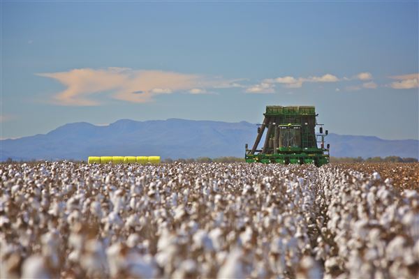 Narrabri Shire (21/09/2017 - Credits: Joshua Smith)