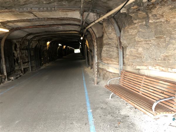 Cockatoo Island - Industrial Precinct (31/08/2018 - Credits: Cheryl Conway)