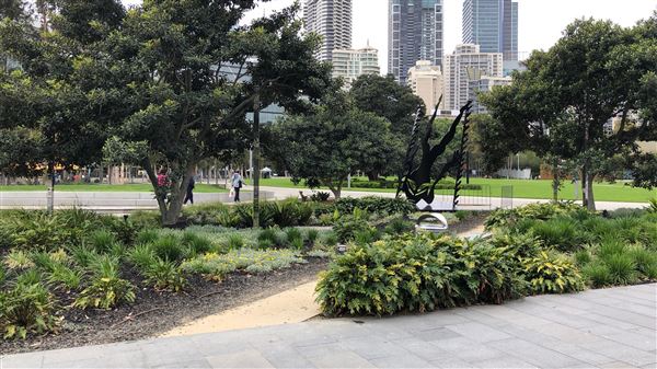 Darling Harbour (26/10/2018 - Credits: Shannon Wheeler)