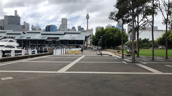 Pyrmont Bay Park (26/10/2018 - Credits: Shannon Wheeler)