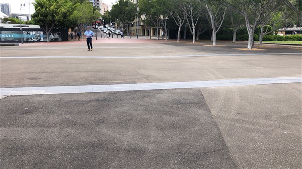Pyrmont Bay Park (26/10/2018 - Credits: Shannon Wheeler)