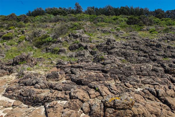 Mystics Beach (Minnamurra Beach) - Killalea State Park (30/10/2018)