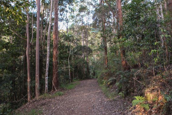 Clarrie Hall Dam (1/11/2018)