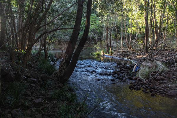 Clarrie Hall Dam (1/11/2018)
