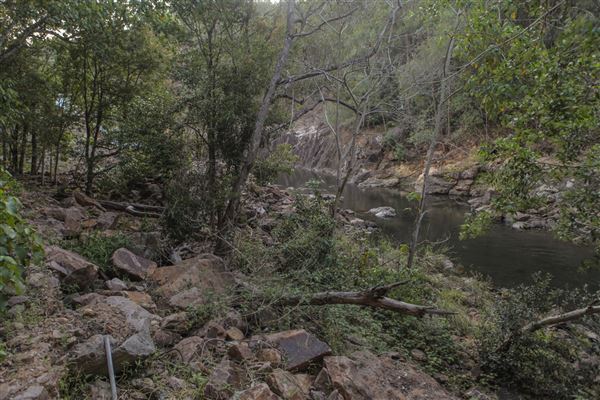 Clarrie Hall Dam (1/11/2018)