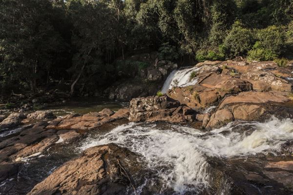 Whian Whian Falls (1/11/2018)
