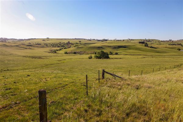 Taralga countryside (31/10/2018)