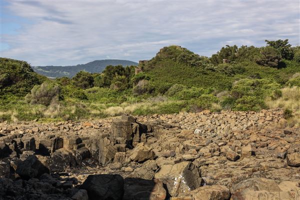 Bombo Headland Quarry (30/10/2018 - Credits: Chris Reynolds)