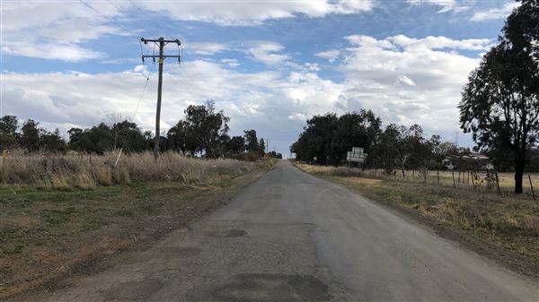 Calala (17/09/2018 - Credits: Shannon Wheeler)
