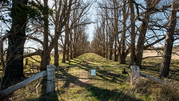 Armidale (20/09/2018 - Credits: Colin McDougall)