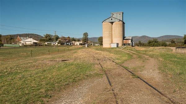 Attunga (20/09/2018 - Credits: Colin McDougall)