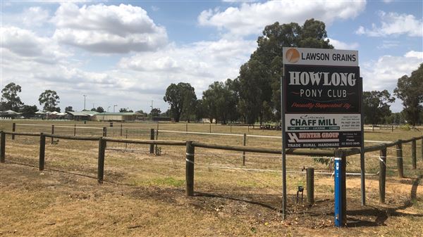 Howlong (8/01/2019 - Credits: Shannon Wheeler)