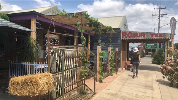1/2 Acre Coffee Lounge Cafe & Nursery (8/01/2019 - Credits: Shannon Wheeler)