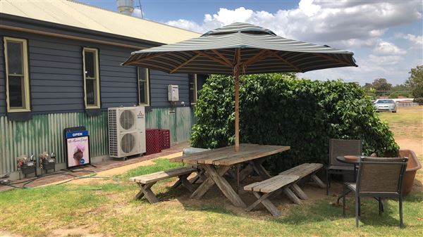 1/2 Acre Coffee Lounge Cafe & Nursery (8/01/2019 - Credits: Shannon Wheeler)