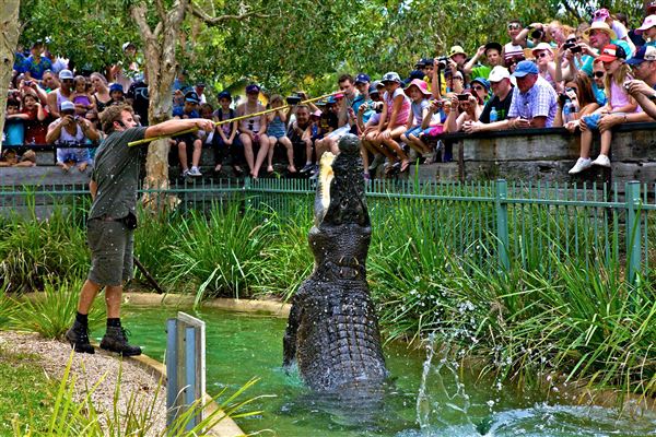 The Australian Reptile Park (25/02/2019 - Credits: Australian Reptile Park)