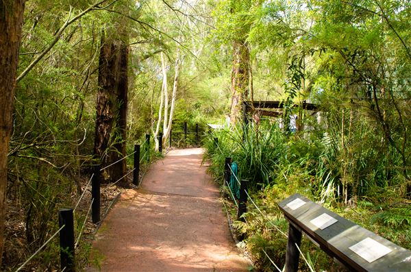 The Australian Reptile Park (25/02/2019 - Credits: Australian Reptile Park)