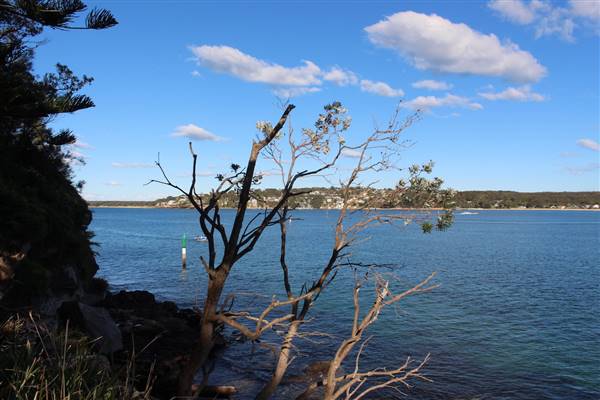 Former Aquatic Laboratories & Offices - Hungry Point Reserve (14/07/2017 - Credits: Jeremy Peek)
