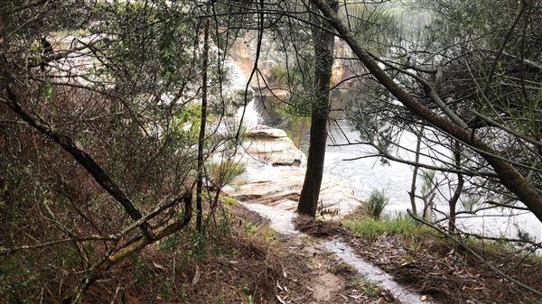 Wattamolla Beach (17/03/2019 - Credits: Shannon Wheeler)