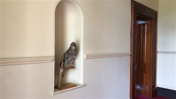 Strickland House - Sydney Harbour National Park (20/05/2019 - Credits: Shannon Wheeler)