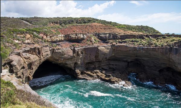 Munmorah State Conservation Area - Snapper Pt and Bongon Beach (8/06/2018 - Credits: N/A)