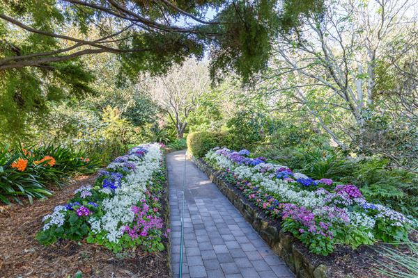 Camelia Gardens (16/07/2019)