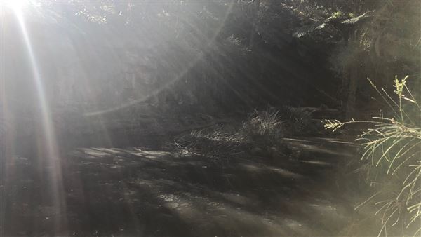Trumper Park (24/08/2019 - Credits: Shannon Wheeler)