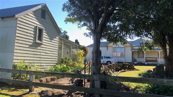 Milton Houses (28/07/2019 - Credits: Shannon Wheeler)