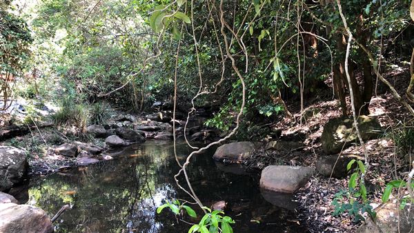 Otford Farm - Paintball Property (19/11/2019 - Credits: Screen NSW)