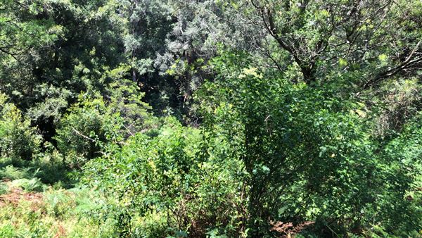 Otford Farm - Paintball Property (19/11/2019 - Credits: Screen NSW)