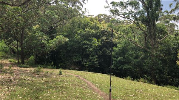 Otford Farm - The Pines Paddock with Jungle Gully (19/11/2019 - Credits: Screen NSW)