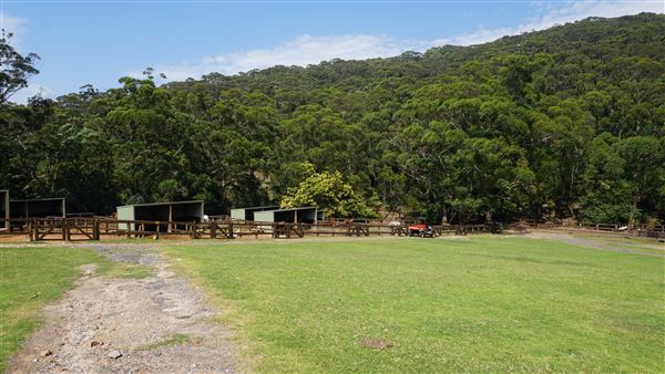 Otford Farm - Horse Farm (19/11/2019 - Credits: Screen NSW)