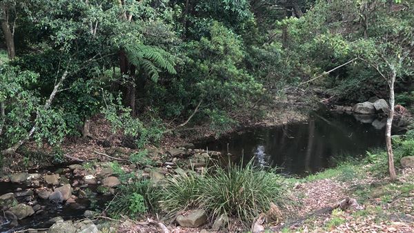 Otford Farm - Horse Farm (19/11/2019 - Credits: Screen NSW)